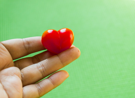 red heart in hands on green background,valentine's day.の写真素材