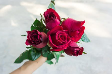 red roses bouquet in woman's hand.Valentine's day.の写真素材
