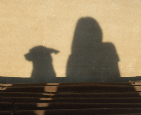 shadow  woman and dog on dirty wall.の写真素材