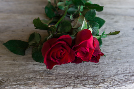Red roses, Valentine's day.の写真素材