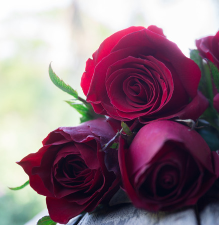 Red roses, Valentine's day.の写真素材
