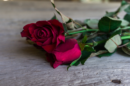 Red roses on wood floor, Valentine's day.の写真素材