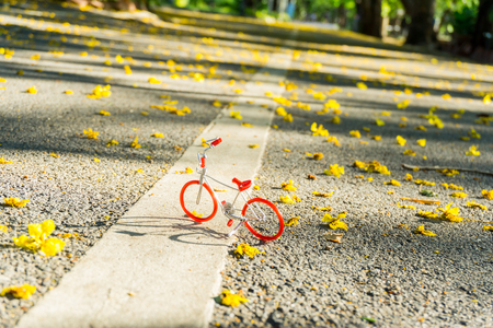 Beautiful Public green park in Autumn with red Bicycle at Vachirabenjatas Park (Rot Fai Park) Bangkok, Thailand.の写真素材