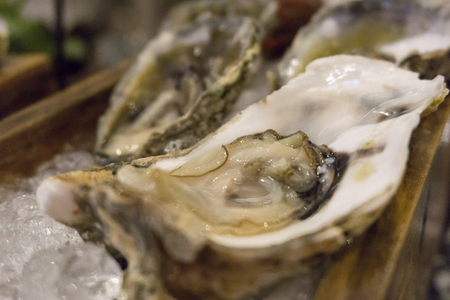A platter of raw fresh oysters on ice at restaurant.