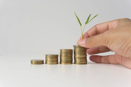 Hand putting coin with green plant, business, financial, banking saving concept.の写真素材