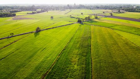 Aerial view of beautiful countryside with rice green fields.