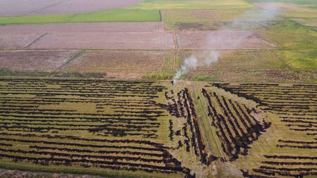 Aerial view of the smoke from burning rice fields, Air pollution, Dust problem.の写真素材