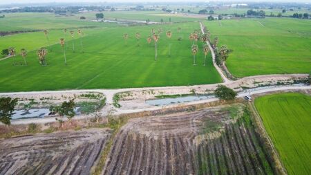 Aerial view of rice fields and canals without water, summer crisis at Thailand.の写真素材