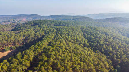 Mountain full of trees Along with the beautiful morning scenery.の写真素材
