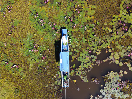 Top view of Asian tourists Happy on the boat Overlooking the Red Lotus Sea, Travel Concept, Udon Thani, Thailandの写真素材