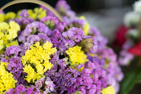 Beautiful purple and yellow flowers in basket, verbena flowers background.