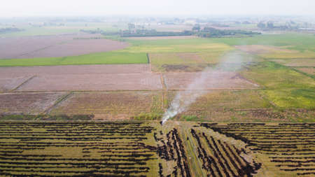 Aerial view of the smoke from burning rice fields, Air pollution, Dust problem.の写真素材