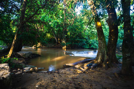 Beautiful waterfall in the morning, small pond in green forest, Attraction for camping in Thailand.の写真素材