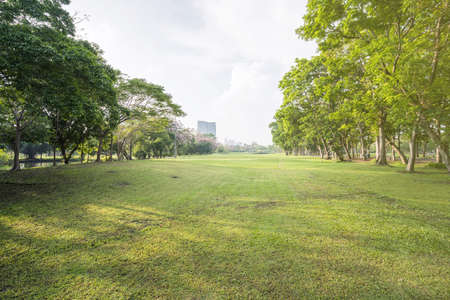 Green public park in city with green grass field.の写真素材