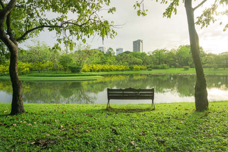 A central park with beautiful greenery, wooden chairs set between large trees.の写真素材