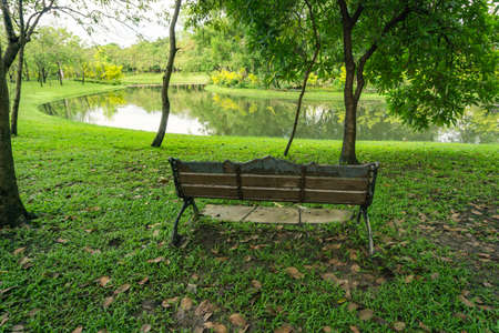 Beautiful parks, wooden chairs to sit and relax, green trees around the lake at the park in the middle of the capital city of Bangkok.の写真素材