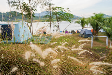 Group outdoor camping tent on green grass ground in the morning, vacation picnic on holiday relax near lake.の写真素材
