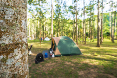 Outdoor camping tent on green grass ground under the tree, vacation picnic on holiday relax, focus...