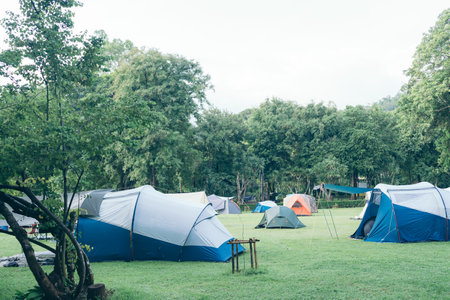 Camping and tent on Lawn or green grass ground in morning, vacation picnic on holiday relax, Camping season.の写真素材