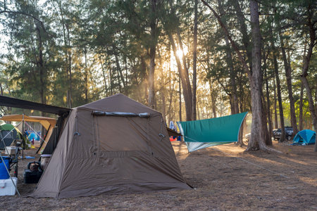 Tourist tent camping under the trees with sunset.の写真素材