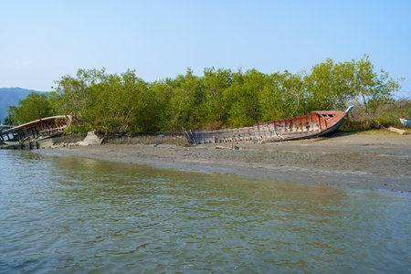 Old wooden boat is wrecked on the edge of a river with green mangrove forests.の写真素材