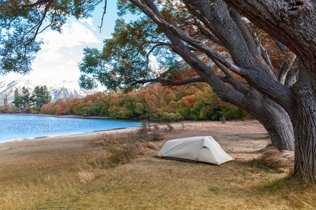 Campsite at Lake Pearson / Moana Rua Wildlife Refuge located in Craigieburn Forest Park in Canterbury region, South Island of New Zealandの写真素材