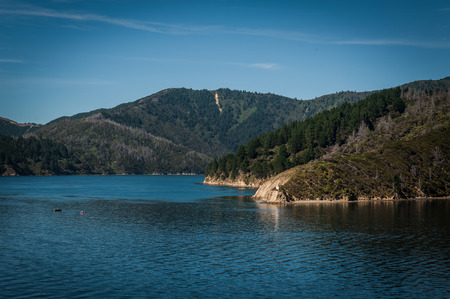 Marlborough Sounds seen from ferry from Wellington to Picton, New Zealandの写真素材