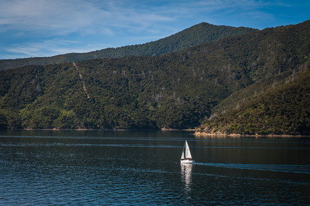 Marlborough Sounds seen from ferry from Wellington to Picton, New Zealandの写真素材