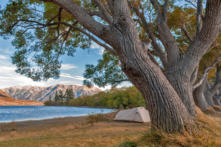 Campsite at Lake Pearson / Moana Rua Wildlife Refuge located in Craigieburn Forest Park in Canterbury region, South Island of New Zealandの写真素材