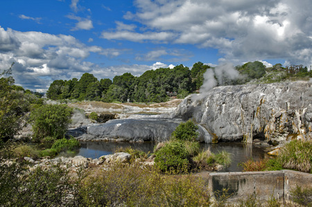 Whakarewarewa Geyser at Te Pui thermal park in geothermal valley of Rotorua, New Zealandの写真素材