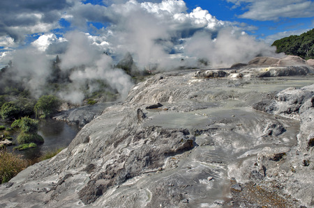 Whakarewarewa Geyser at Te Pui thermal park in geothermal valley of Rotorua, New Zealandの写真素材