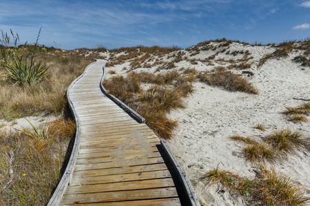 Wooden walkway by the beach at Tauparikaka Marine Reserve, Haast, New Zealandの写真素材