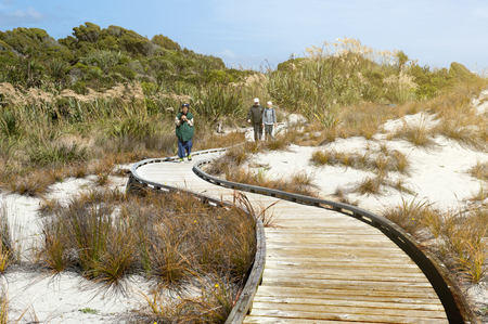 Haast, New Zealand - February 2016 : Tourists walking on wooden walkway by the beach at Tauparikaka Marine Reserve, Haast, New Zealandのeditorial素材