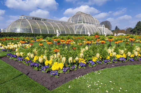 London, UK - April 2018: Palm House, an iconic Victorian glasshouse that recreates a rainforest climate for the exhibition of living unique collection of tropical plants from the tropical regions of the world, located at Kew Garden, Englandのeditorial素材