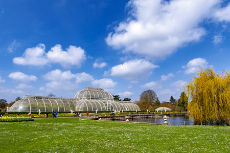 London, UK - April 2018: Palm House, an iconic Victorian glasshouse that recreates a rainforest climate for the exhibition of living unique collection of tropical plants from the tropical regions of the world, located at Kew Garden, Englandのeditorial素材