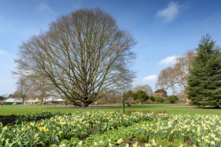 London, UK - April 2018: Summer day at Kew Gardens, a botanical garden in southwest London that houses the largest and most diverse botanical and mycological collections in the worldのeditorial素材