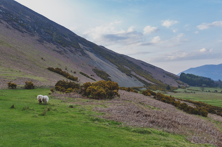 Countryside landscape at a sheep farm in Lake District of England, United Kingdomの写真素材