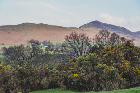 Countryside landscape at a sheep farm in Lake District of England, United Kingdom