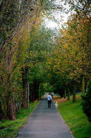 Vaduz, Liechtenstein - October 2019: A lady and a dog walking in a park in suburban area of Vaduz, the capital city of Liechtensteinのeditorial素材