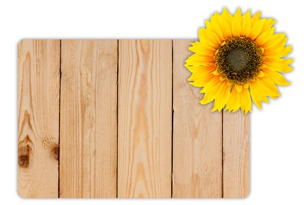 Sunflower on wood texture for background.の写真素材