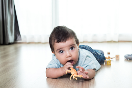 crawling funny baby boy indoors at homeの写真素材