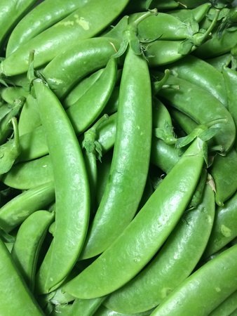Sugar snap peaの素材