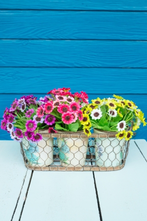 Plastic flowers in pot on blue tableの写真素材