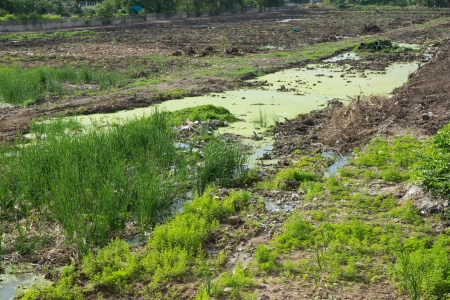 Vacant land grass and pondの写真素材