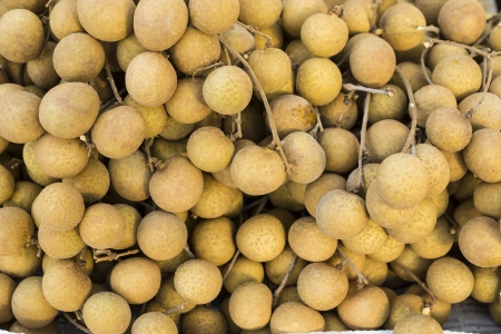Longans tropical fruit in thailandの写真素材