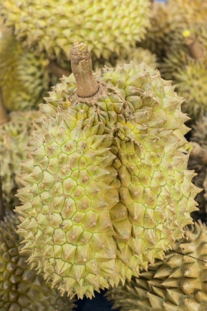 Durian tropical fruit in Thailandの写真素材