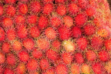 Rambutan tropical fruit in Thailandの写真素材