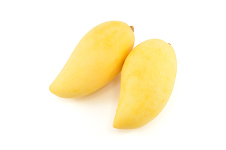 Yellow mango on isolated white backgroundの写真素材