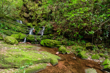 Sai Tip waterfall in Phu Soi Dao National Park, Uttaradit Province Thailand.の写真素材