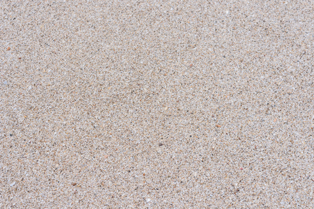 the texture of the sea sand in a beachの写真素材